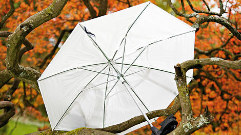 Review: Lastolite Brolly Grip Kit with Translucent Umbrella